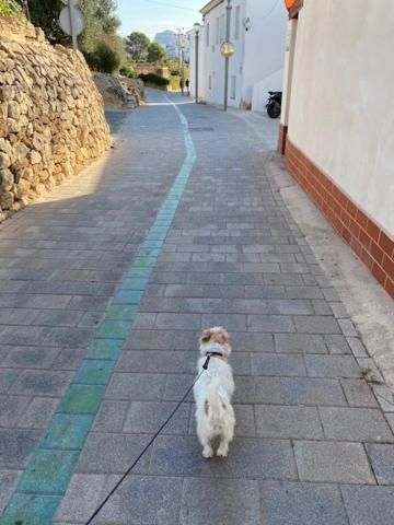 Altea Beachgate - Acceso Privado A La Playa ภายนอก รูปภาพ